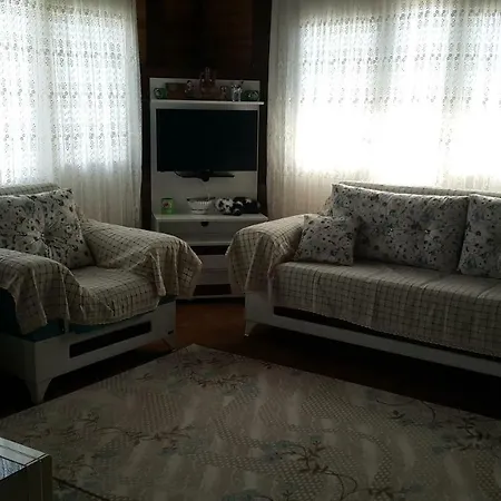 Vila Saklikent Wooden House